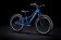Велосипед Trek Precaliber 20 7Sp Boys (2022)